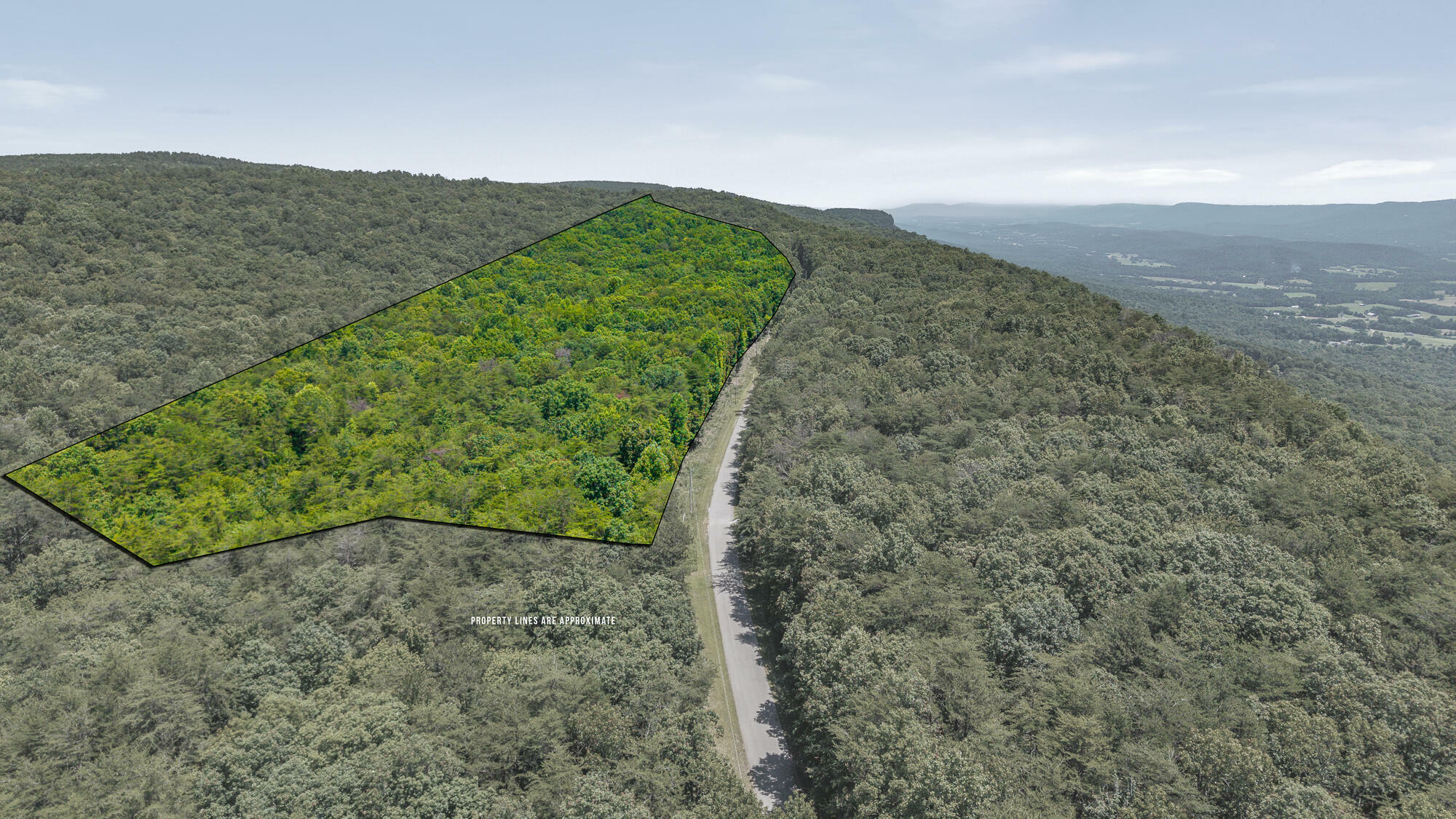 Property Photo: 59.73 Ac Windridge Drive TN 37327