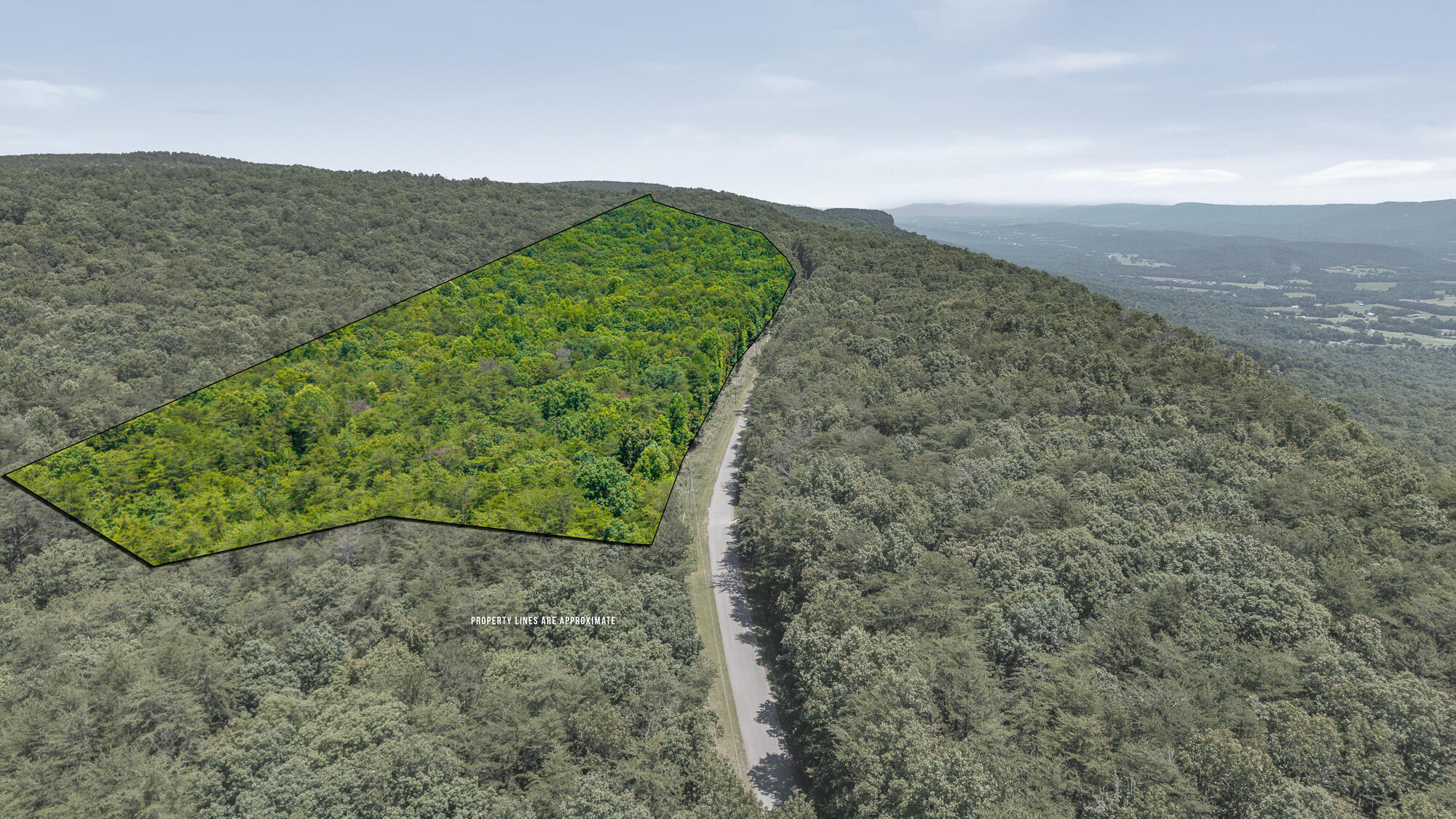 Property Photo:  59.73 Ac Windridge Drive  TN 37327 