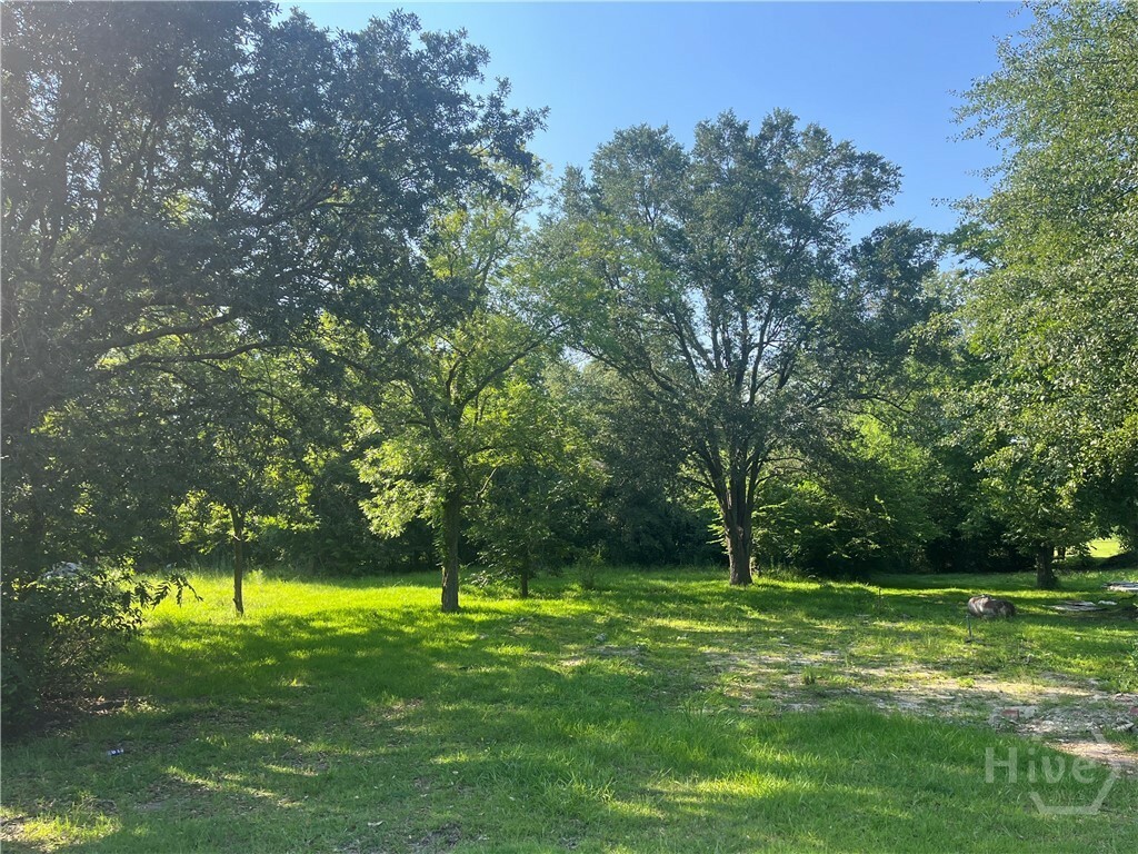 Property Photo:  112 Cail Street  GA 30467 