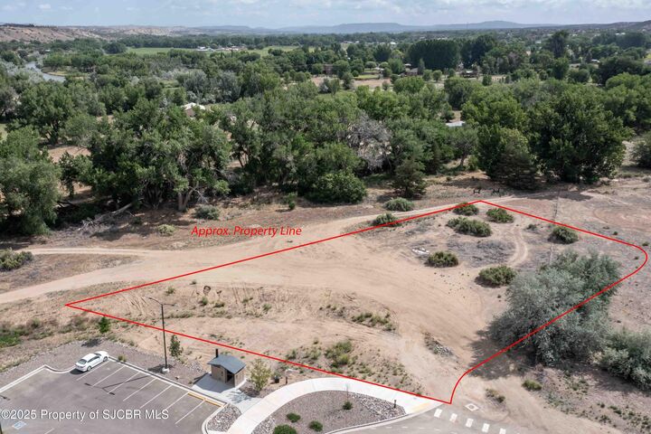 Property Photo:  1.03 Ac N Main Extension Avenue  NM 87410 