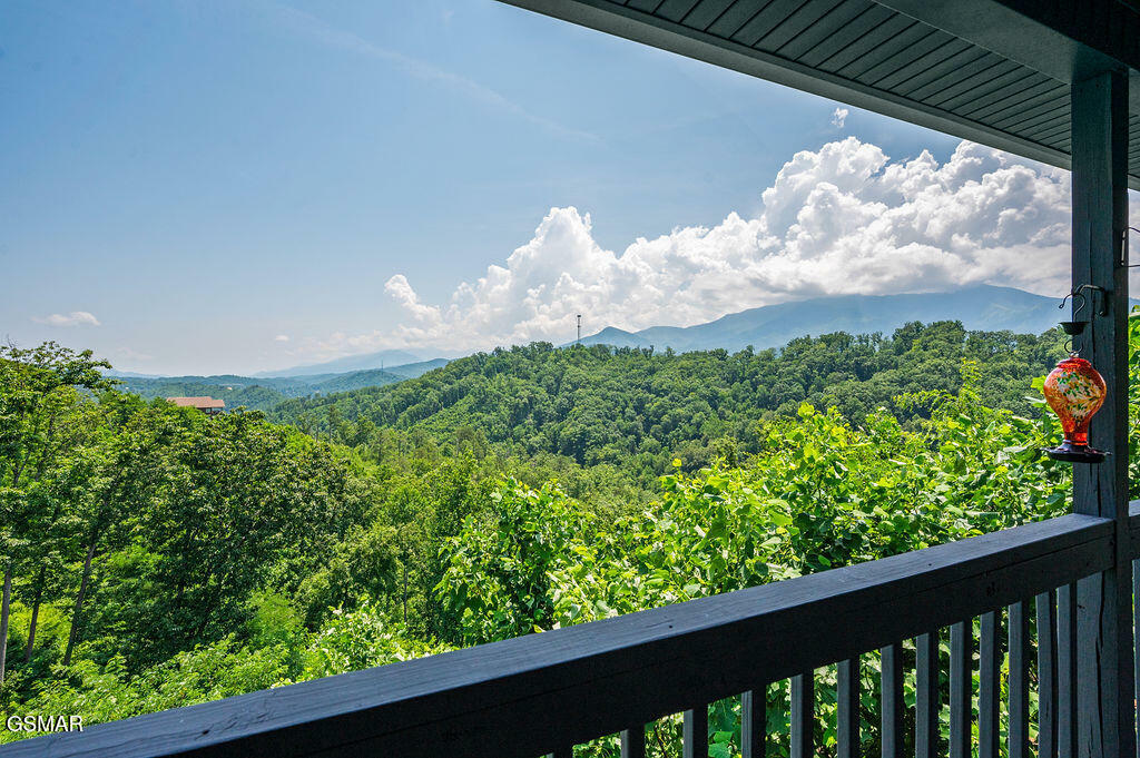 Property Photo: 843 Sourwood Drive TN 37738
