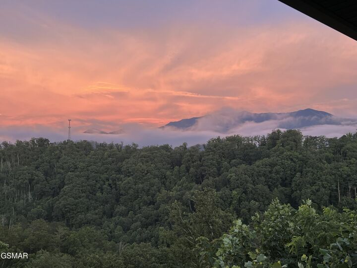 Property Photo: 843 Sourwood Drive TN 37738