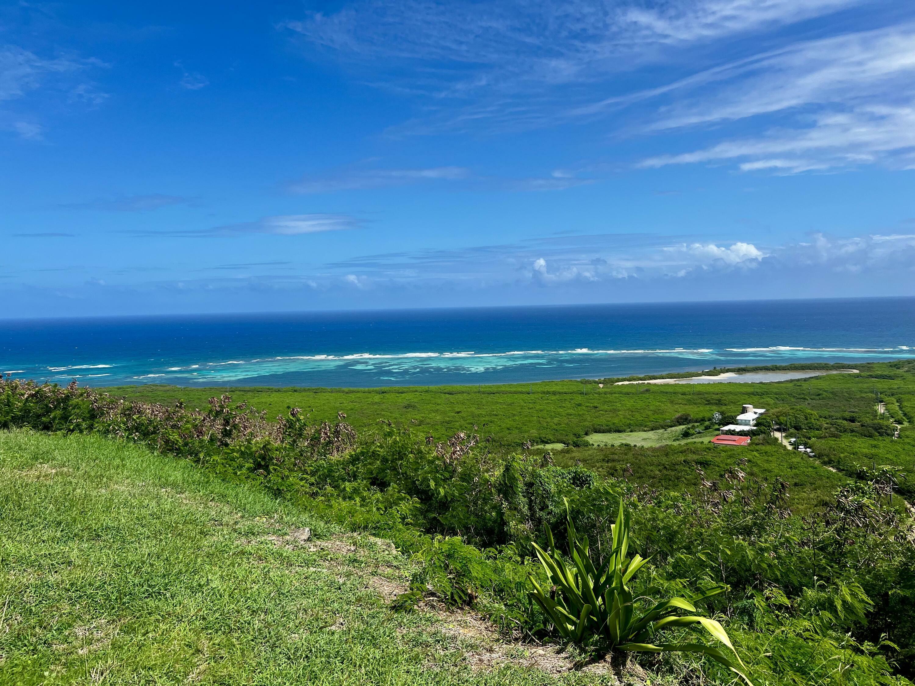 Property Photo: 4 Cotton Grove Ea VI 00820