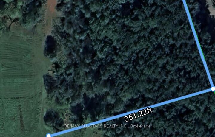 20 1/2 Tate'S Bay Road  Trent Lakes ON K0M 1A0 photo