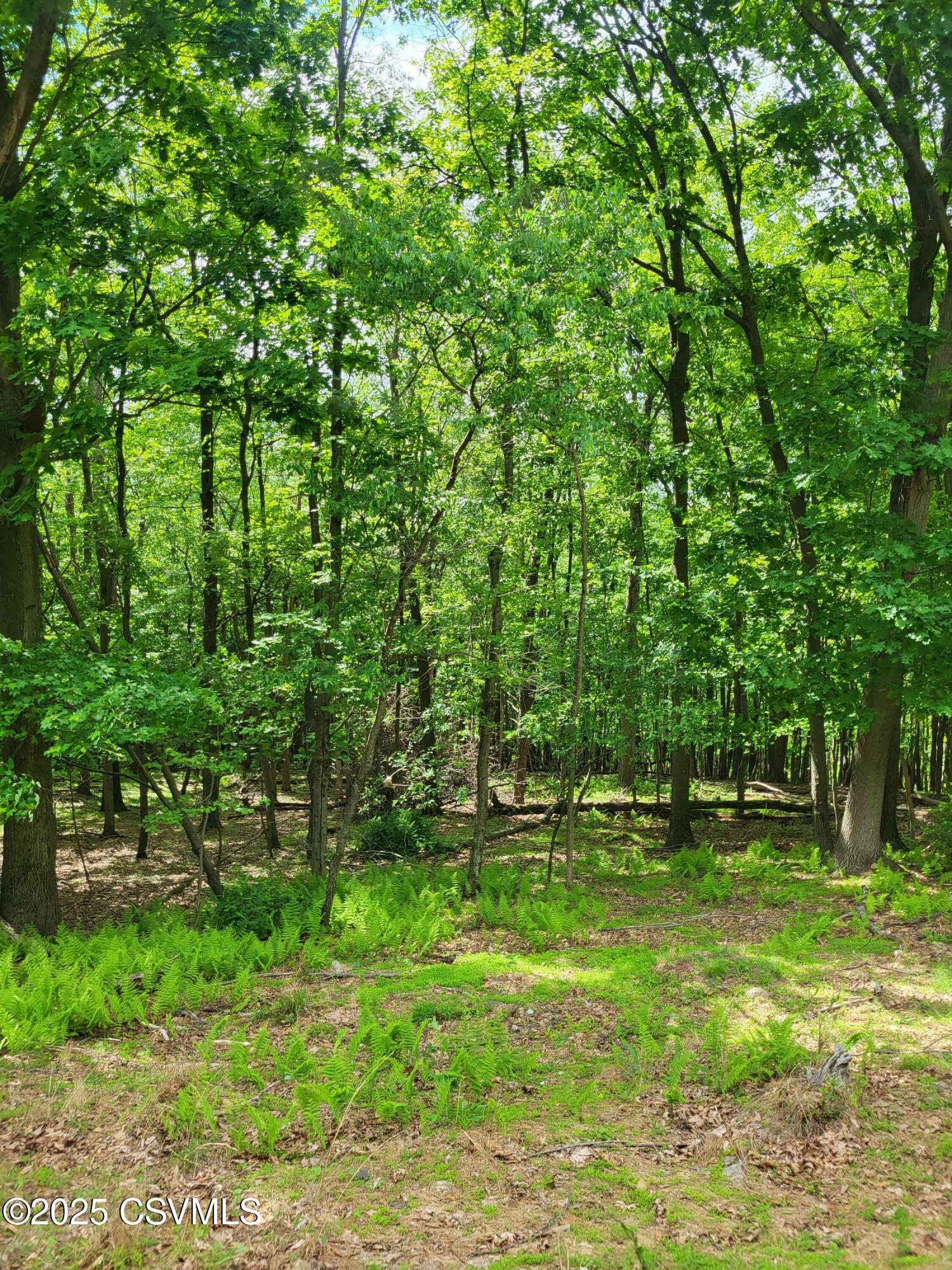 Property Photo:  Mountain Road  PA 17872 