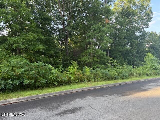 Lot 17 Woodland Creek Drive  Dandridge TN 37725 photo