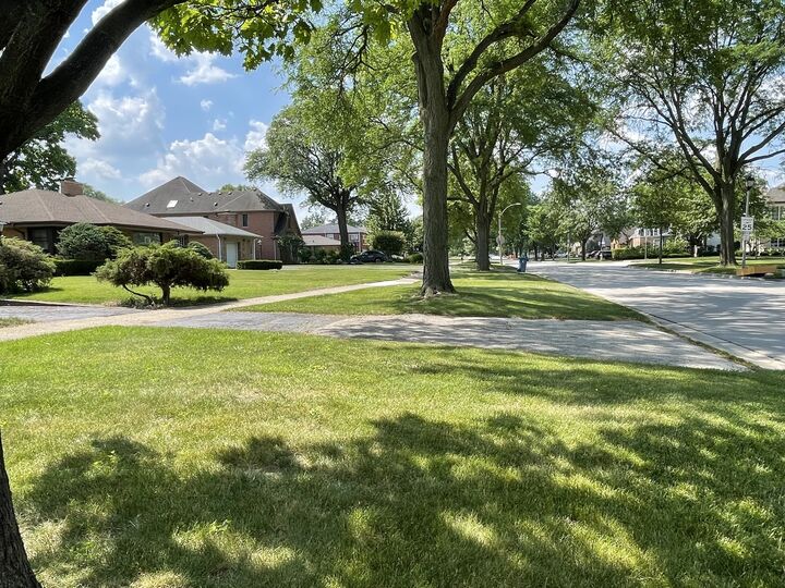 Property Photo:  107 S Poplar Avenue  IL 60126 