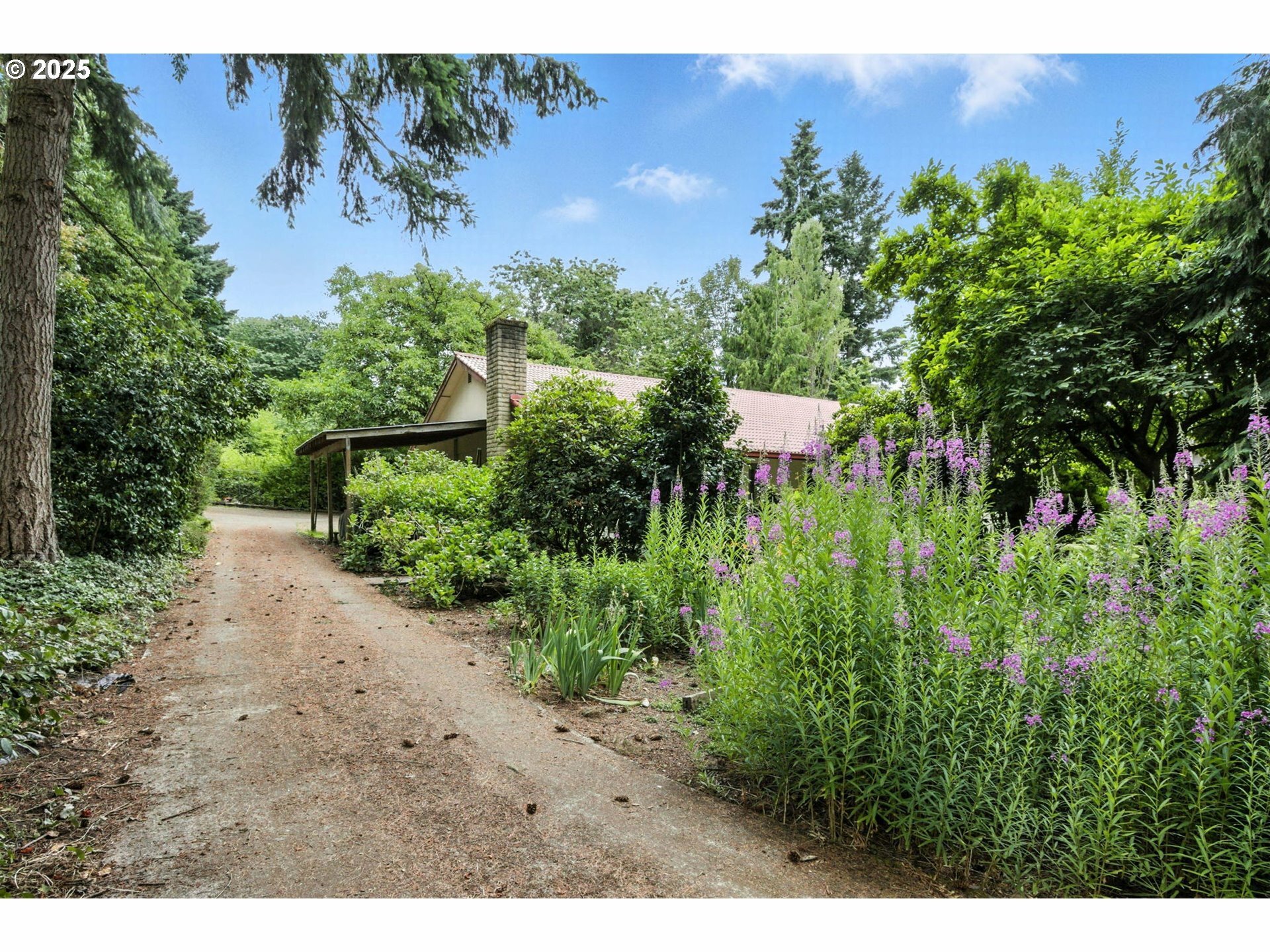 Property Photo:  117 NW 101st St  WA 98685 