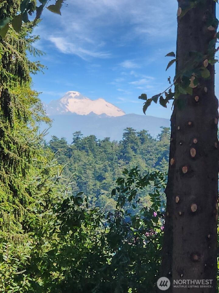 4985  Bakerview Road  Oak Harbor WA 98277 photo