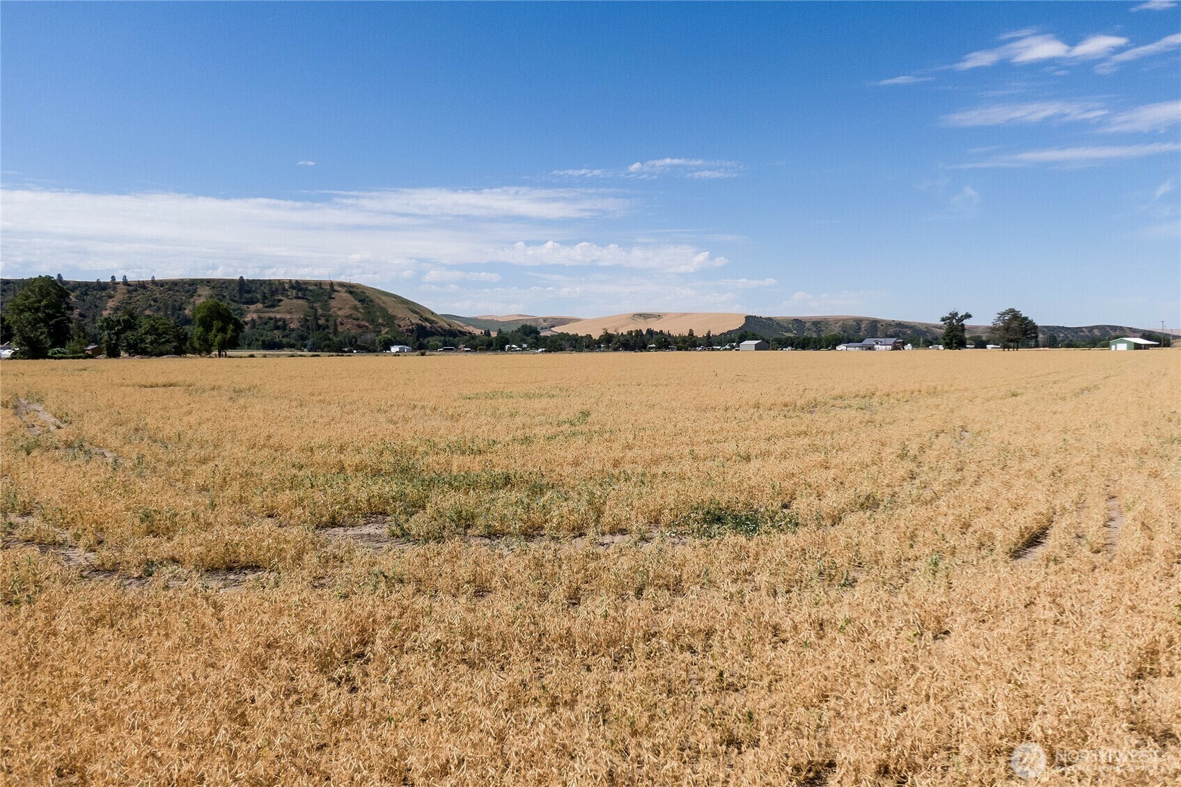 Property Photo:  199  Taggart Road  WA 99361 