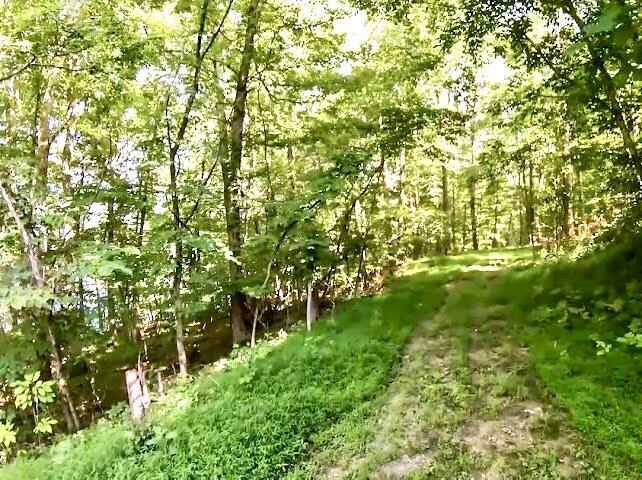 Property Photo:  2344 Dickeys Mill Road  KY 42259 