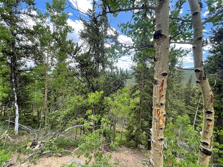 Property Photo:  847 County Road 787  CO 80420 