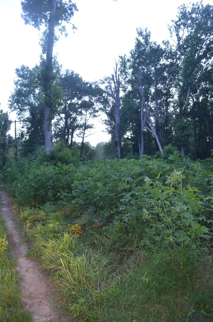 Property Photo: 150 Rose Street TX 75682