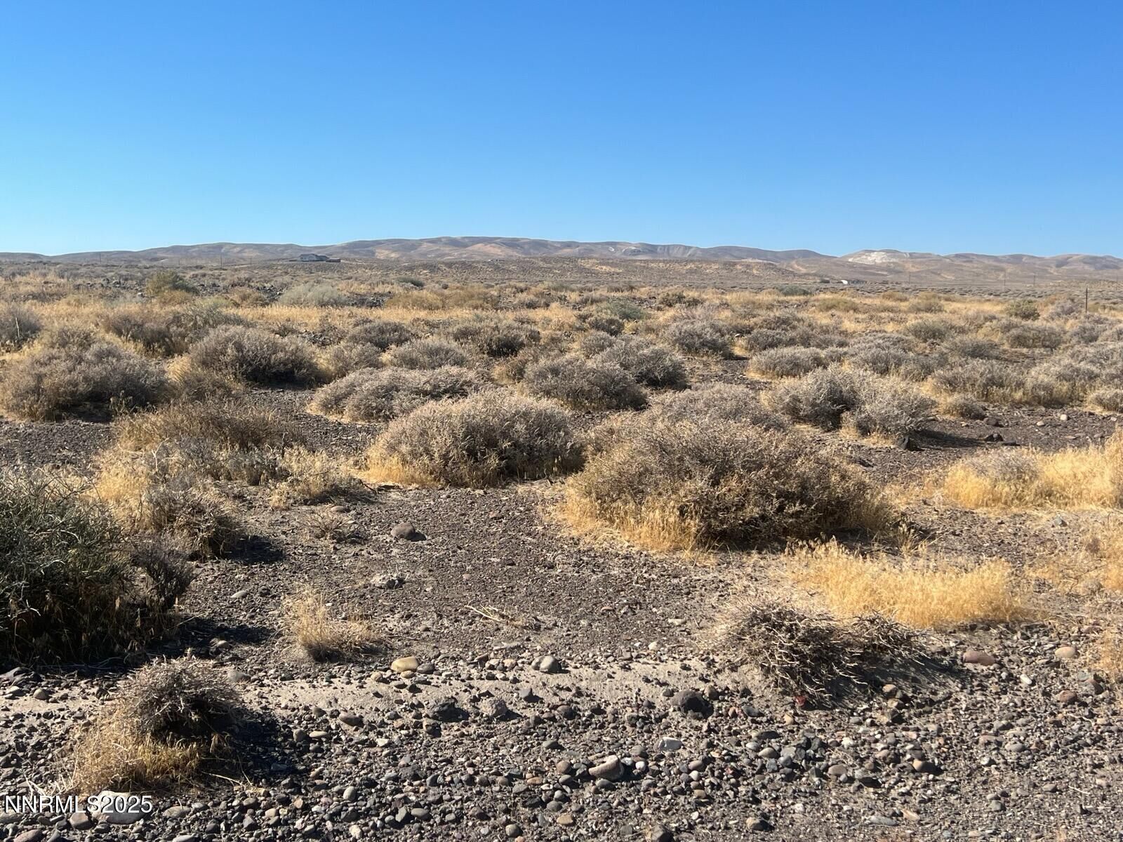 Property Photo:  4305 Whitney Lane  NV 89408 