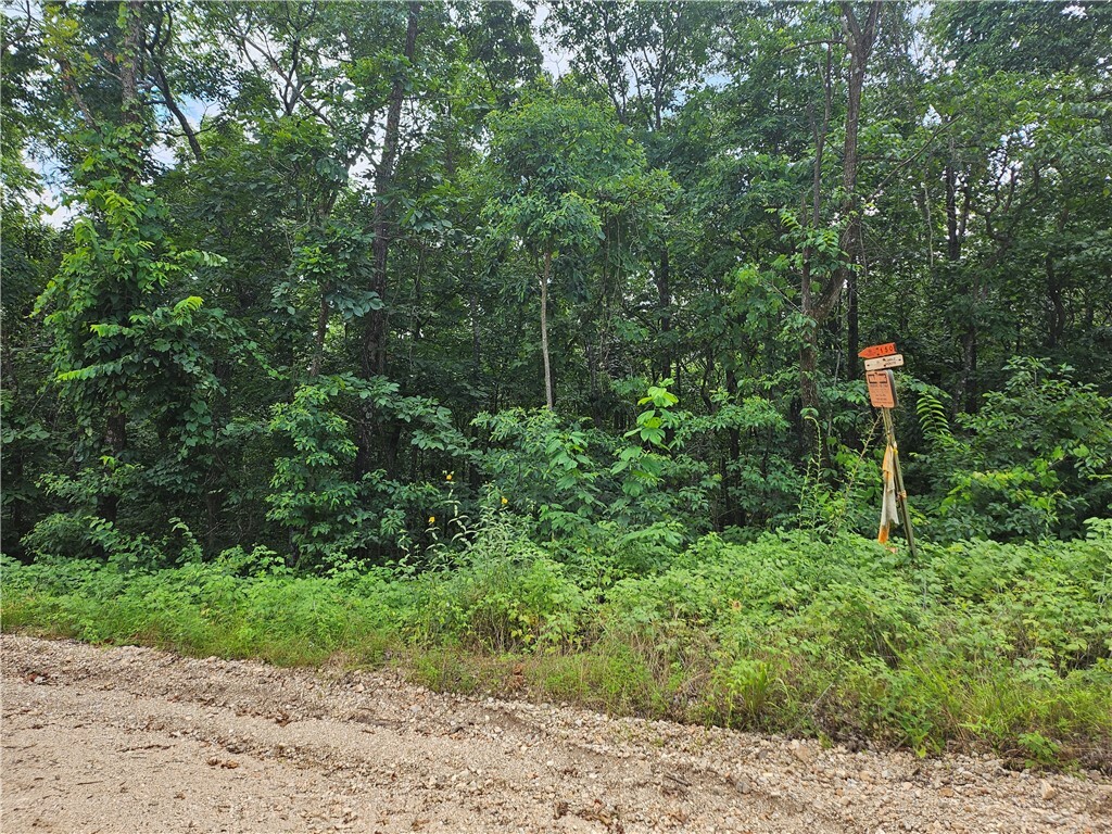 Property Photo: Tbd County Road 224 AR 72632