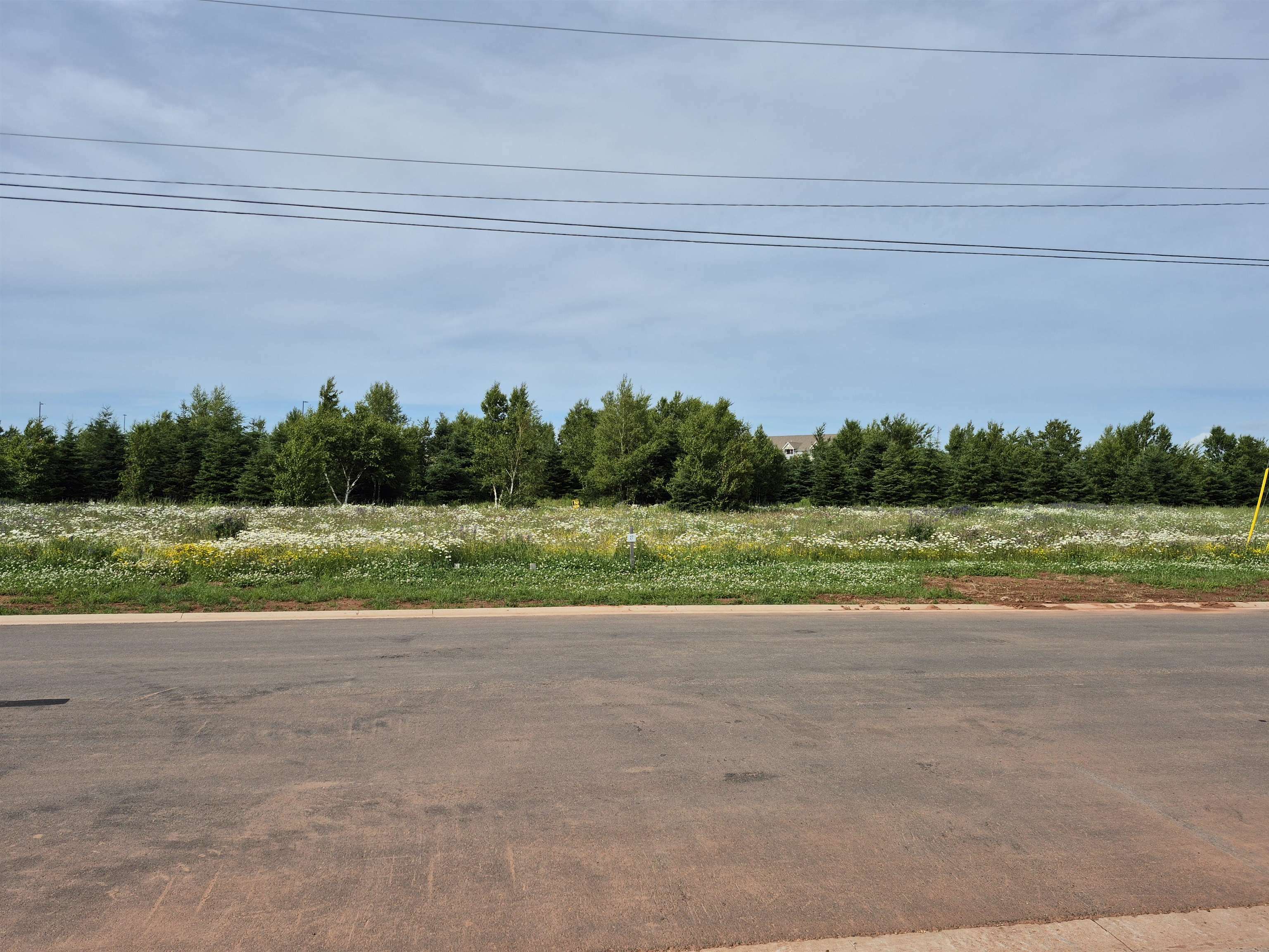 Property Photo: 125-127 Key Avenue Lot 21-27 PE C1N 0R5