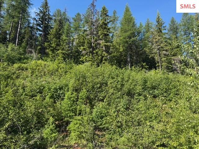 Property Photo: Nna Avalanche ID 83864