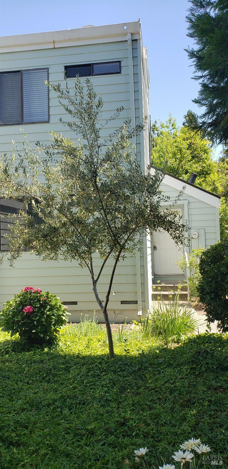 224 Courtyards  Windsor CA 95492 photo