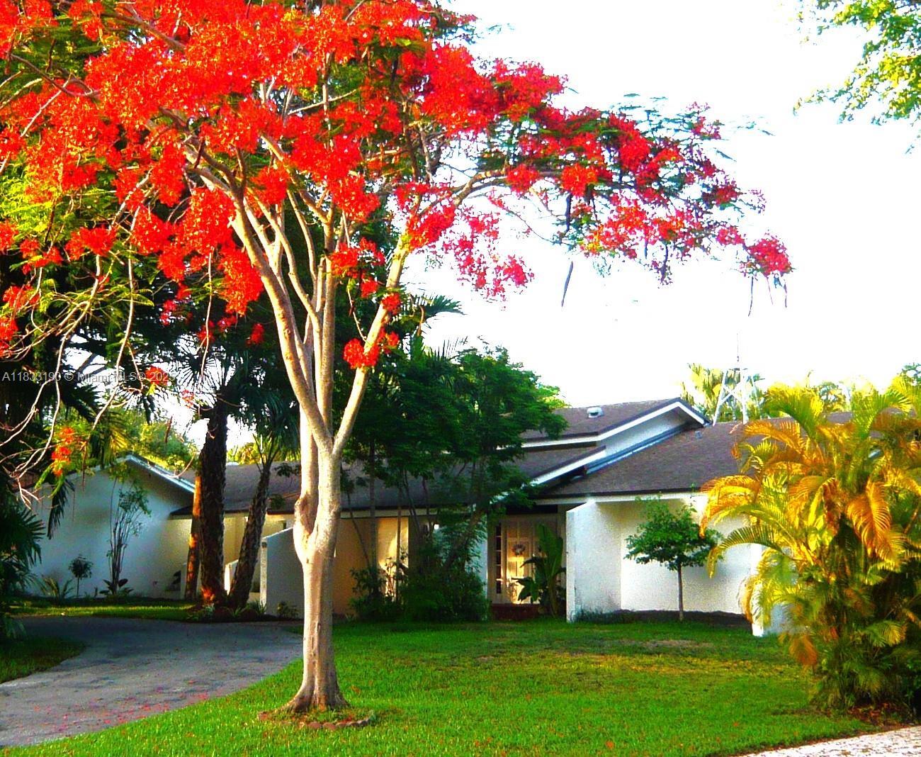 17123 SW 78th Pl  Palmetto Bay FL 33157 photo