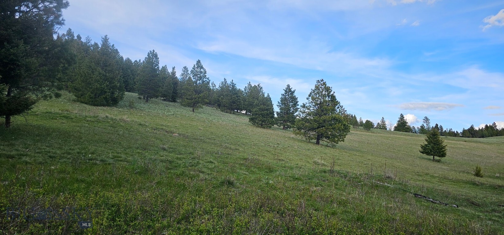 Property Photo: 6 Tract, Bull Elk MT 59832