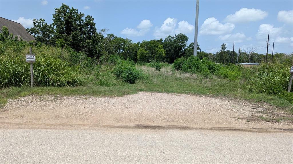 Property Photo: 0 Sam Brookins Street TX 77498