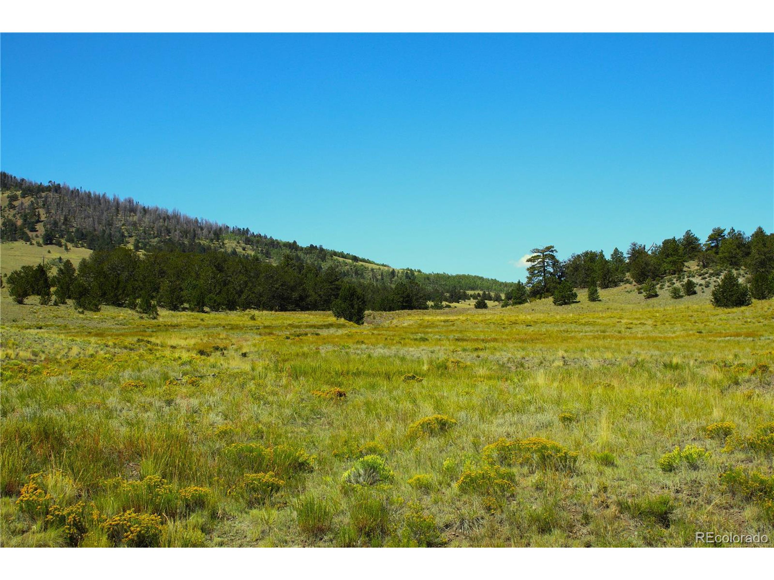 Property Photo: State 9 Hwy CO 80820