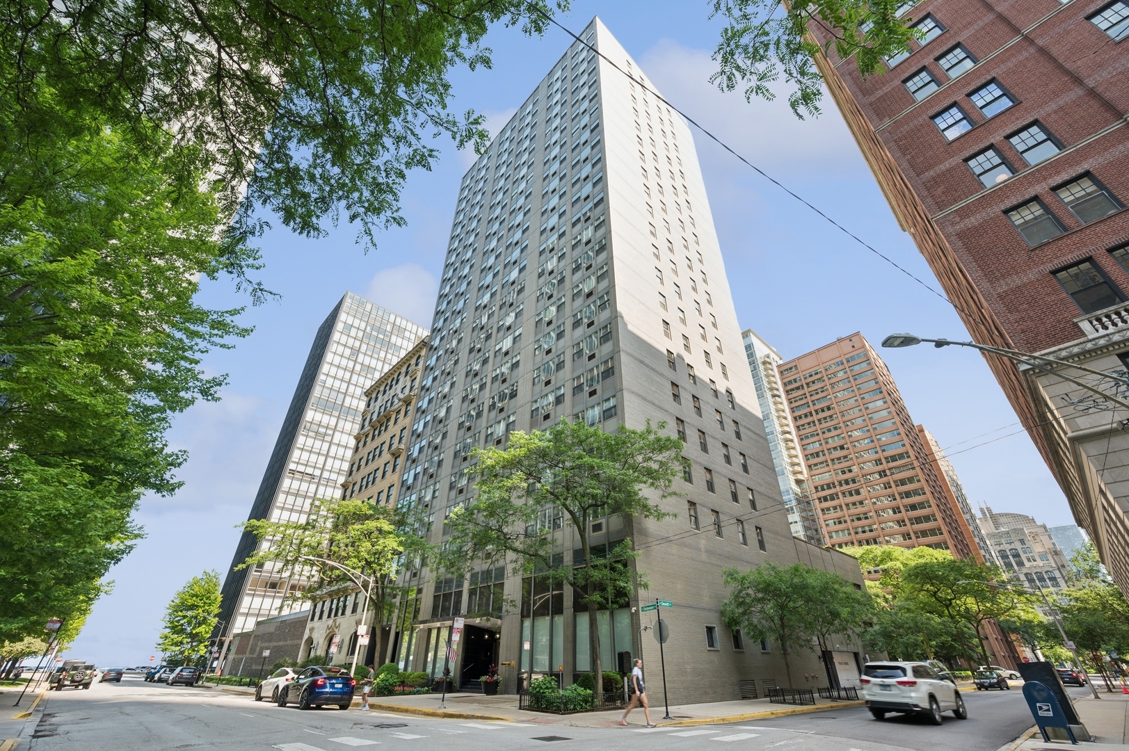 Property Photo: 253 E Delaware Place 7G IL 60611