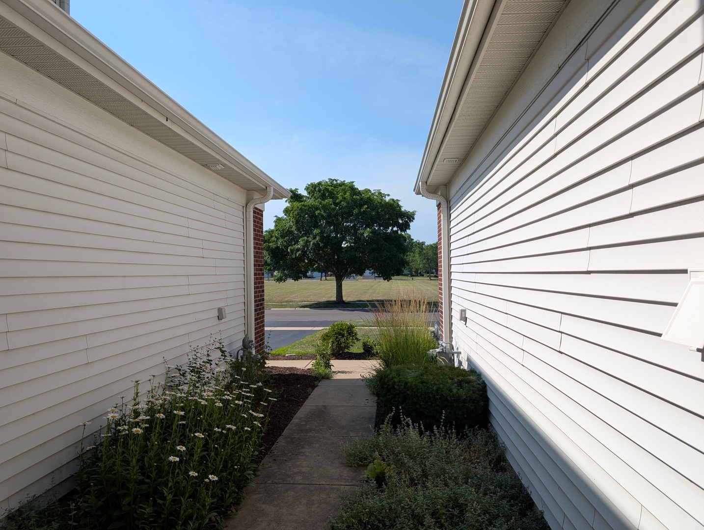 Property Photo: 371 McGrath Drive IL 60543