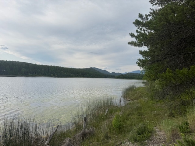 Property Photo: 400 Cattail Drive MT 59937