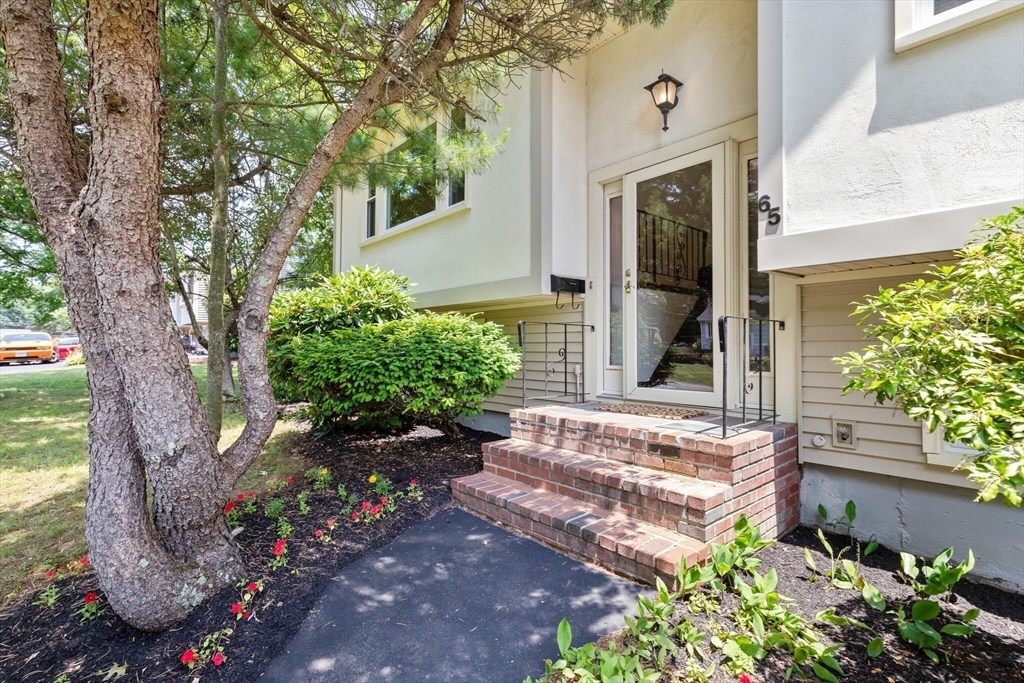 Property Photo:  65 Margery Road  MA 02301 