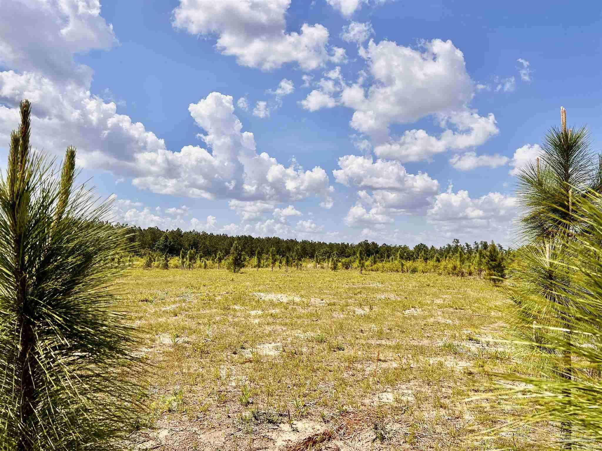 Property Photo: Lot 49 South Timber Ln FL 32571