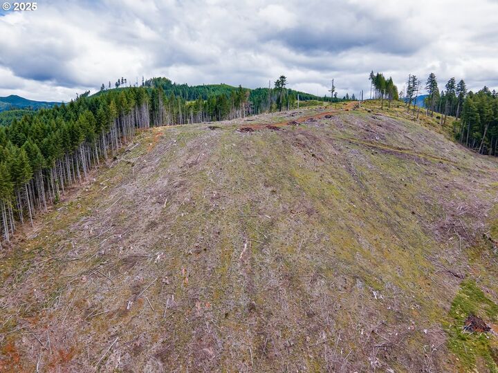 Property Photo: Rat Creek Rd OR 97424