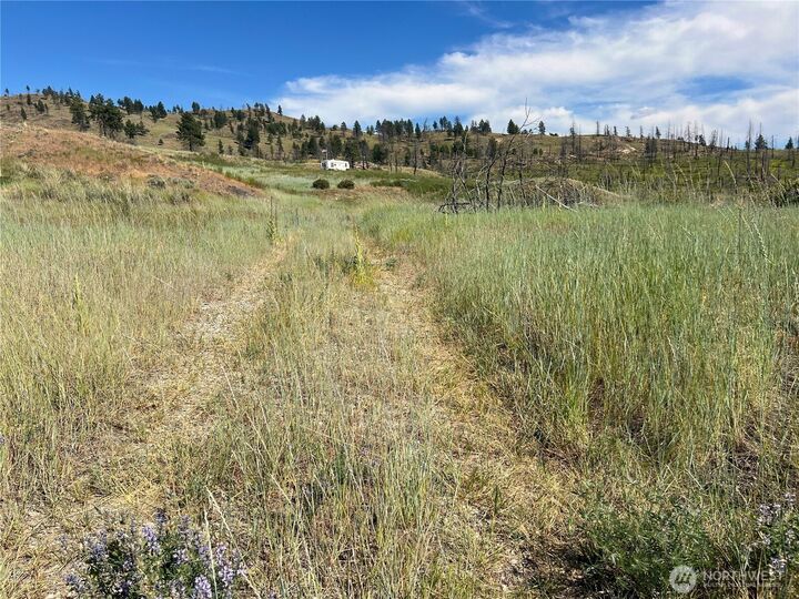 Property Photo:  0 Lot 12  Lone Spur Road  WA 98844 