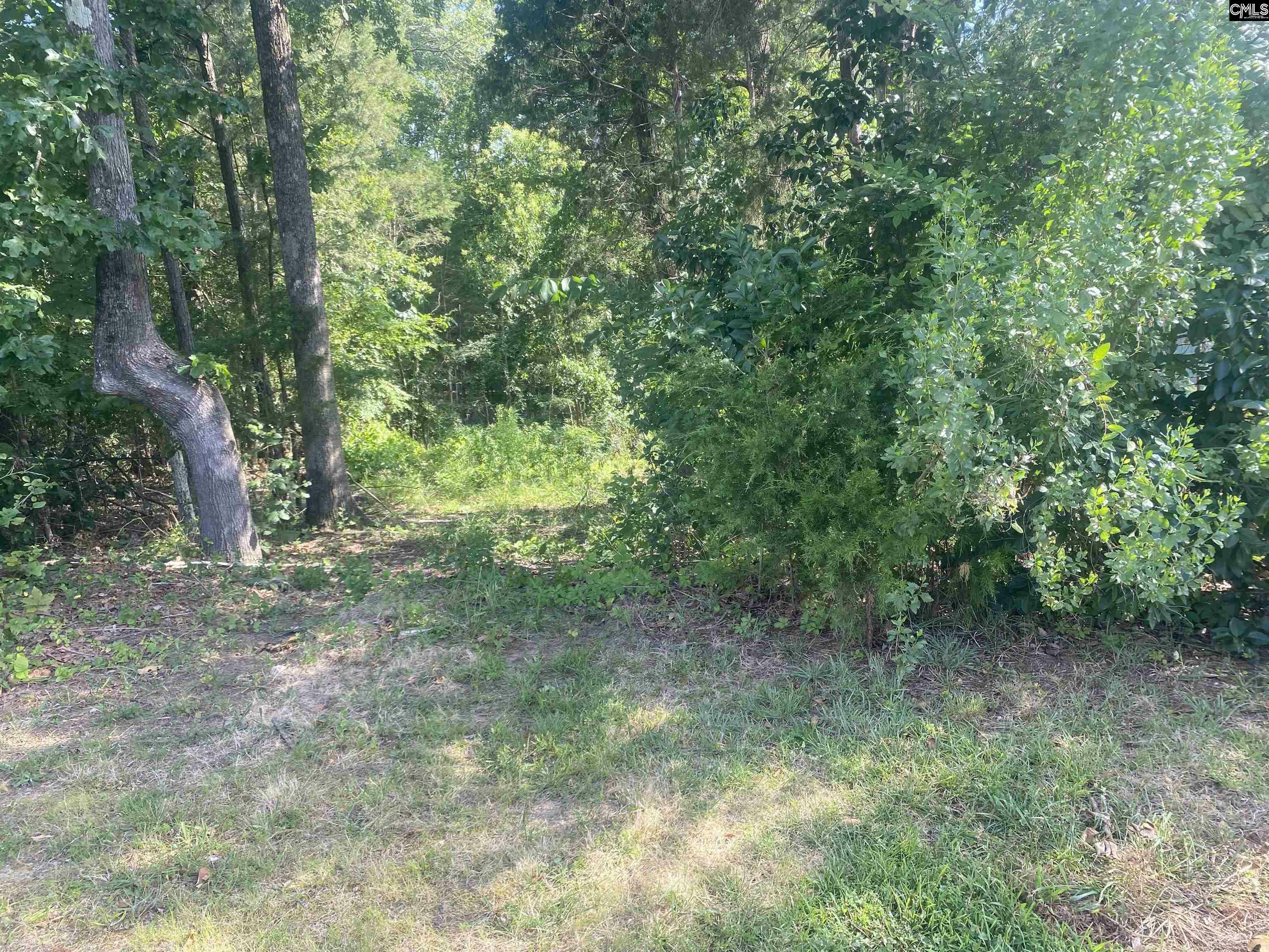 Property Photo: 115 Beacon Point SC 29063