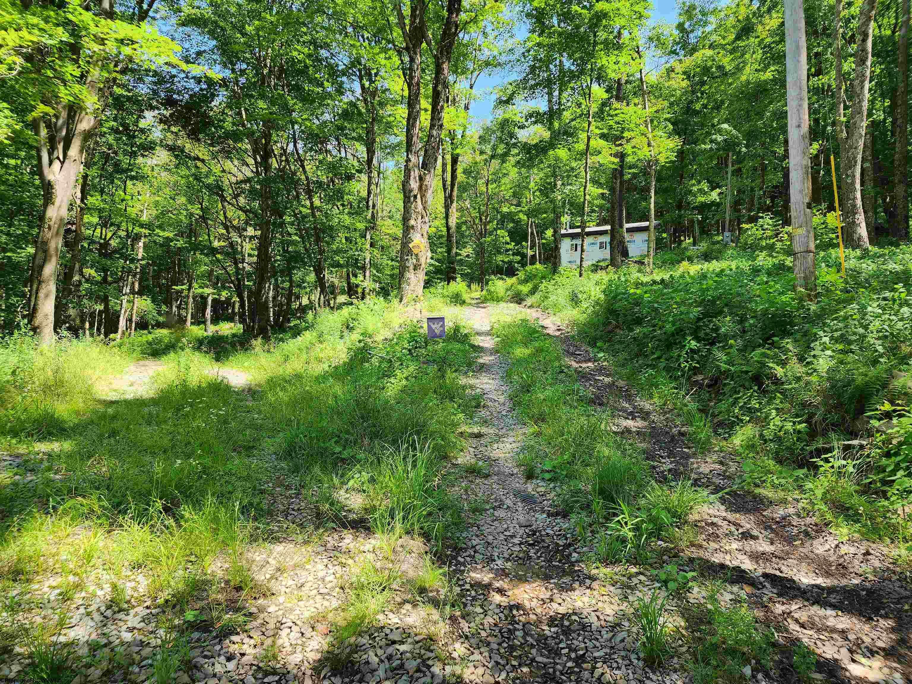 Property Photo:  1373 Rocky Road  WV 26270 