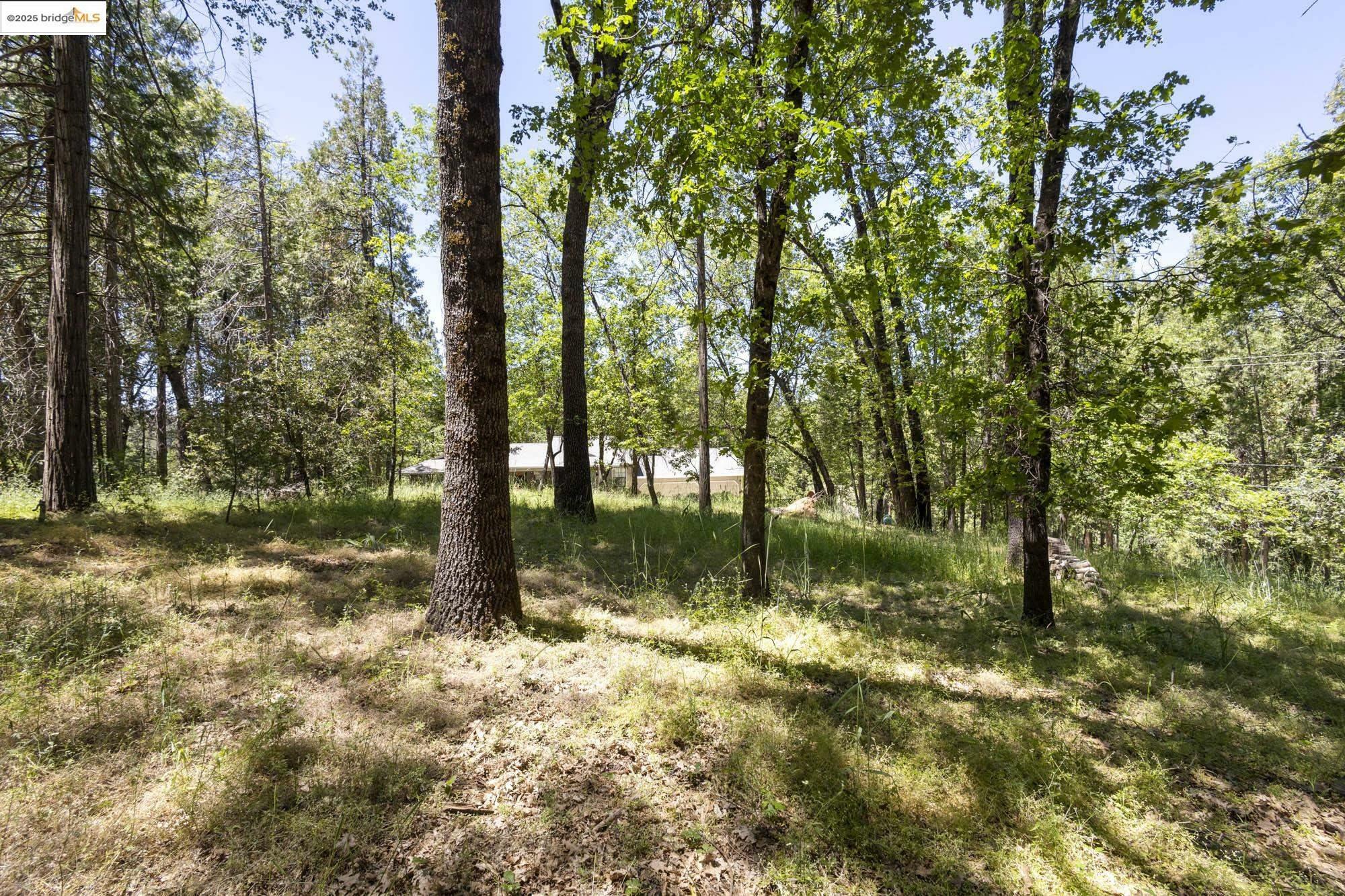 Property Photo: 17787 Lucky Strike Trail CA 95370