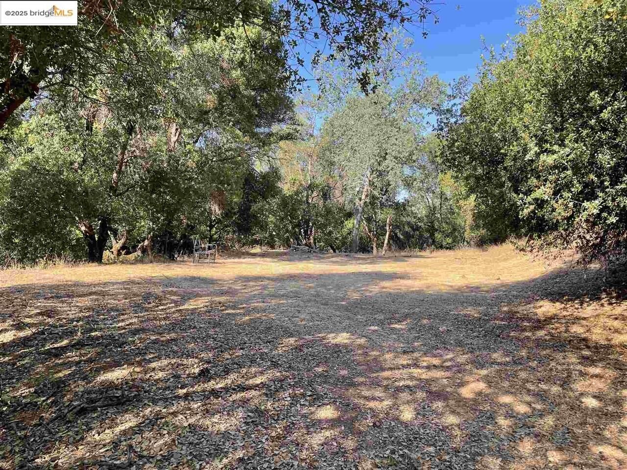 Property Photo: Lot 1 Curtis Circle CA 95370