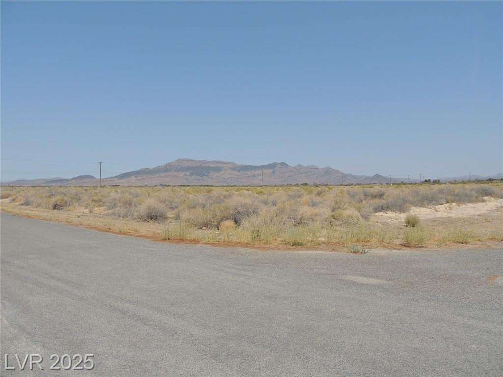 Property Photo:  60 East Bonita Avenue  NV 89060 