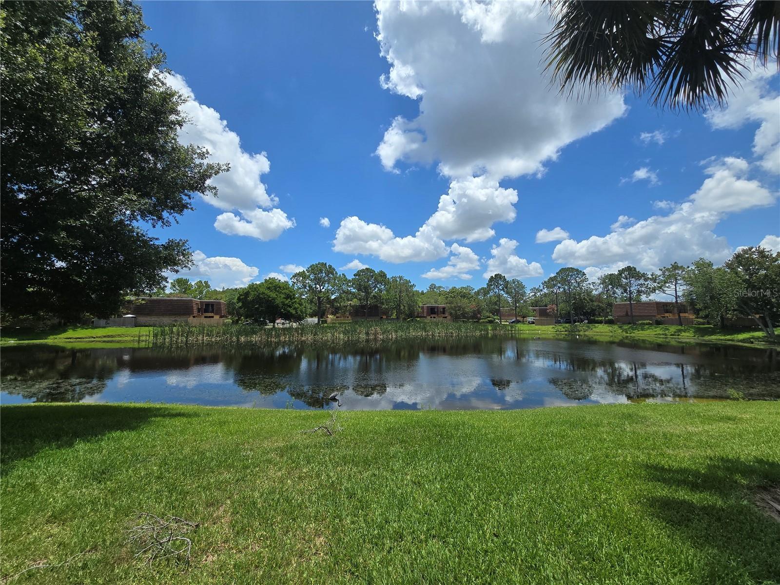 Property Photo: 5288 Cypress Court 439 FL 32811