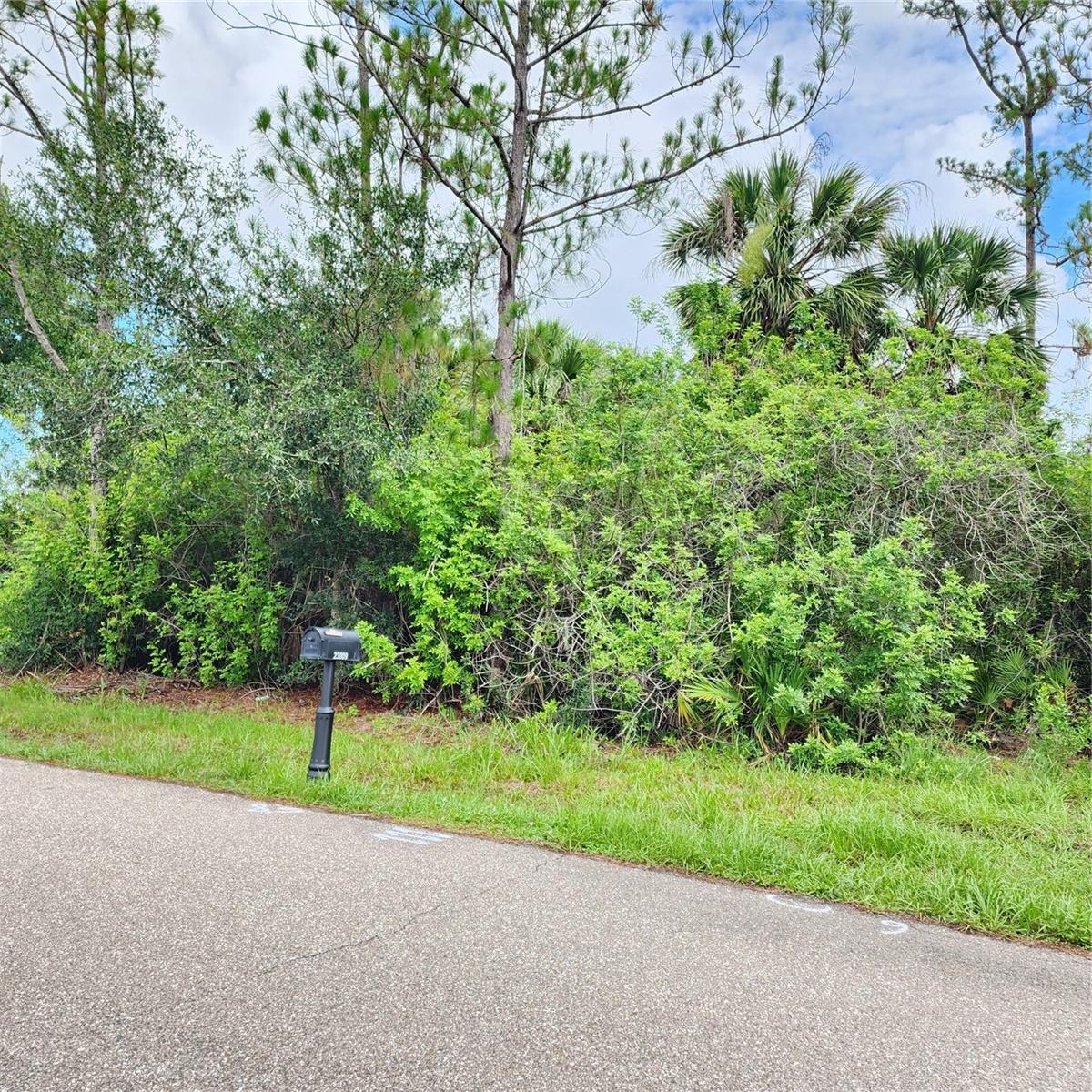 Property Photo: 23016 Delhi Avenue FL 33952
