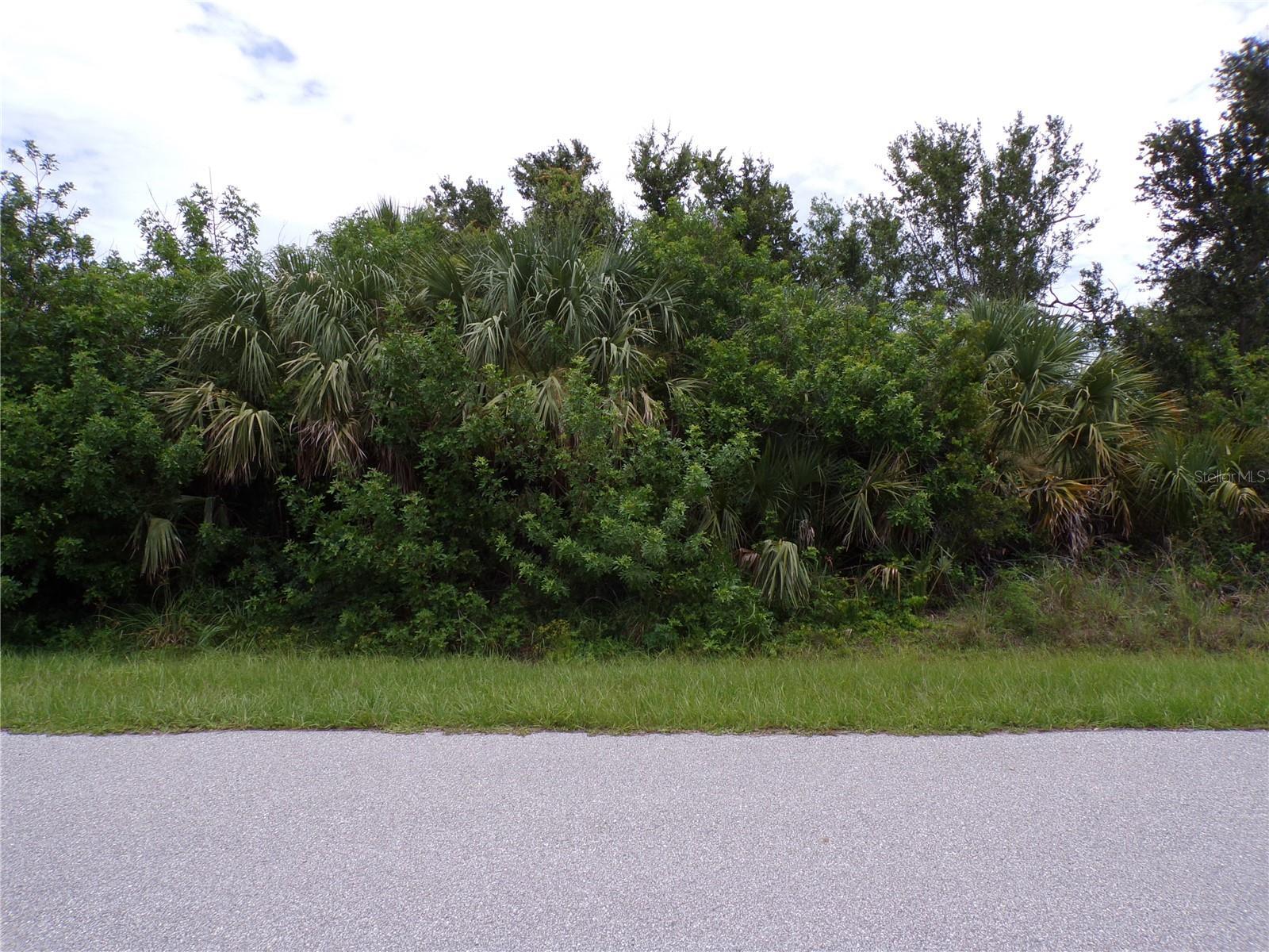 Property Photo: 14170 Bethesda Lane FL 33981