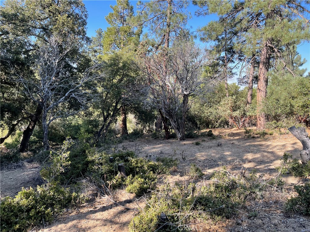 Property Photo: 0 Valley View Drive CA 92561