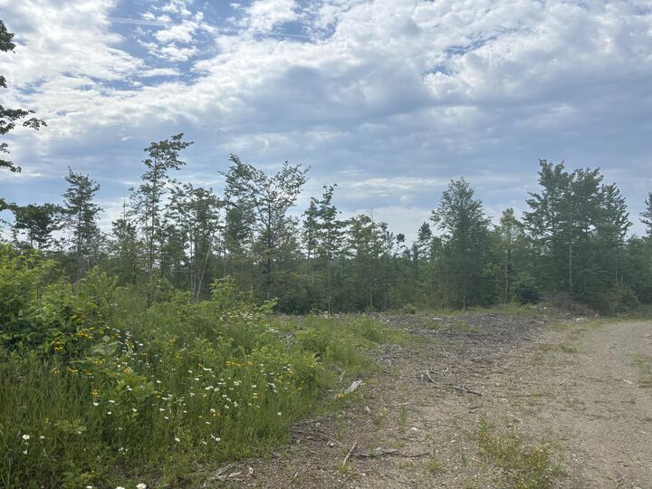 Property Photo: 0A Clearcut Lodge Road ME 04487
