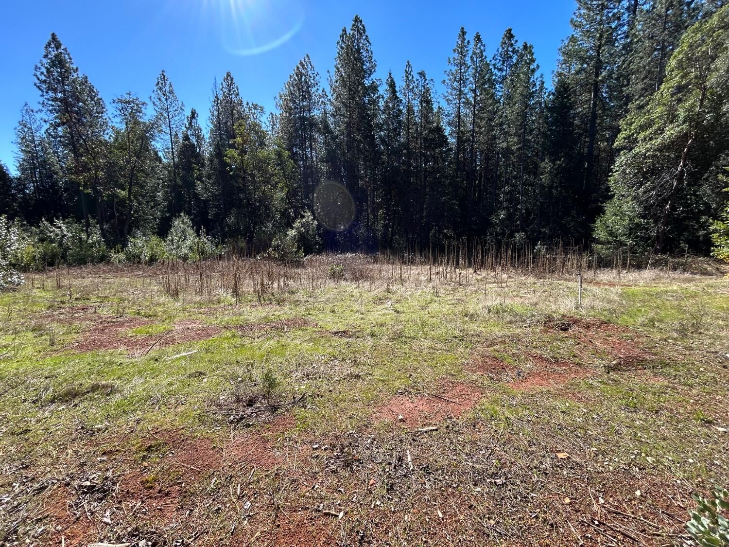 Property Photo:  35 Bamford  CA 95941 