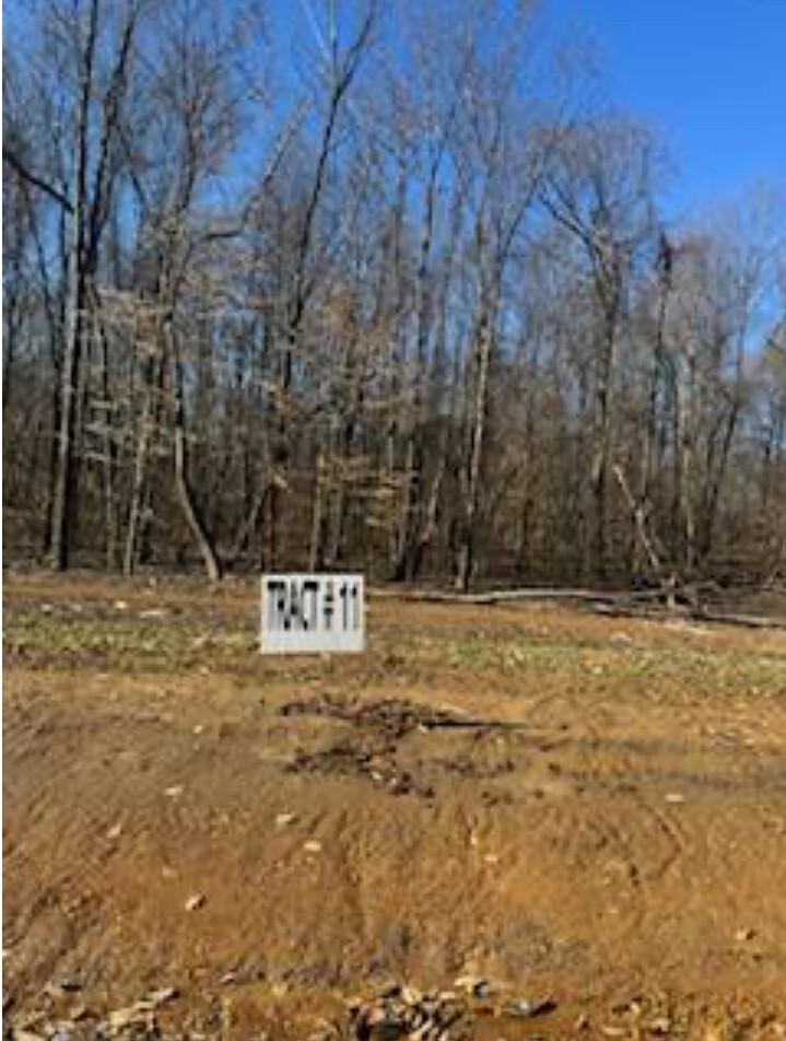 Property Photo:  0 White Springs Ln  TN 37083 