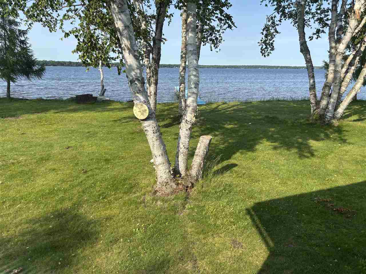 Property Photo:  9218 Pachy  MI 49718 