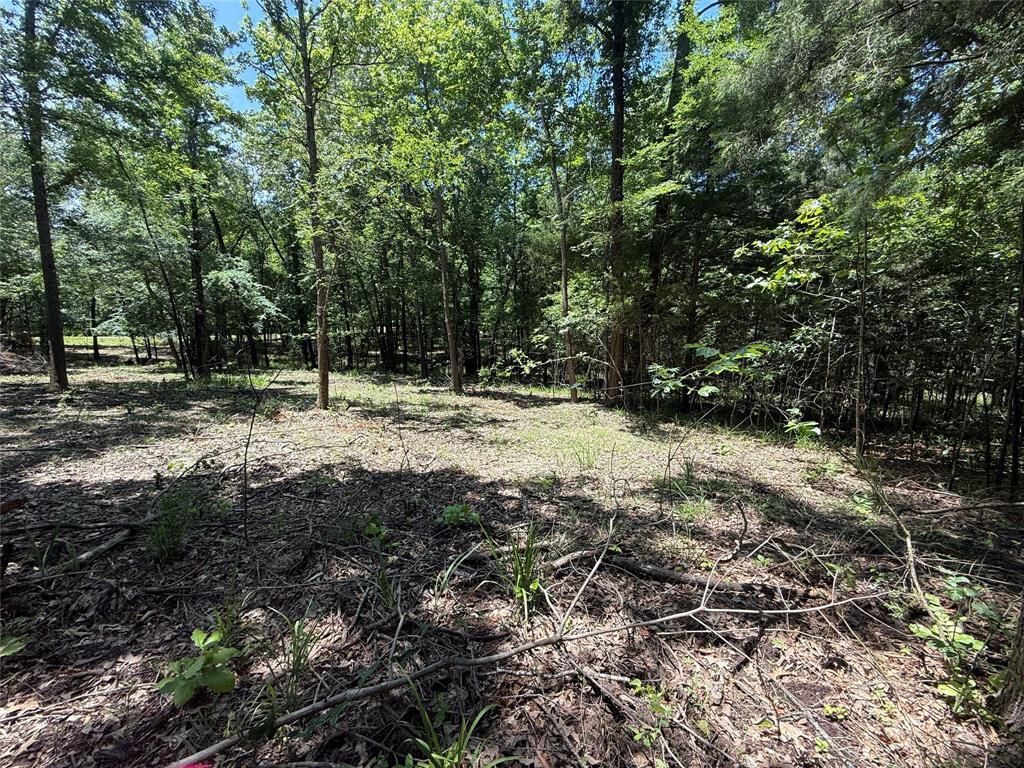 Property Photo: Tbd Pr 5861 (Lot 7) TX 75497