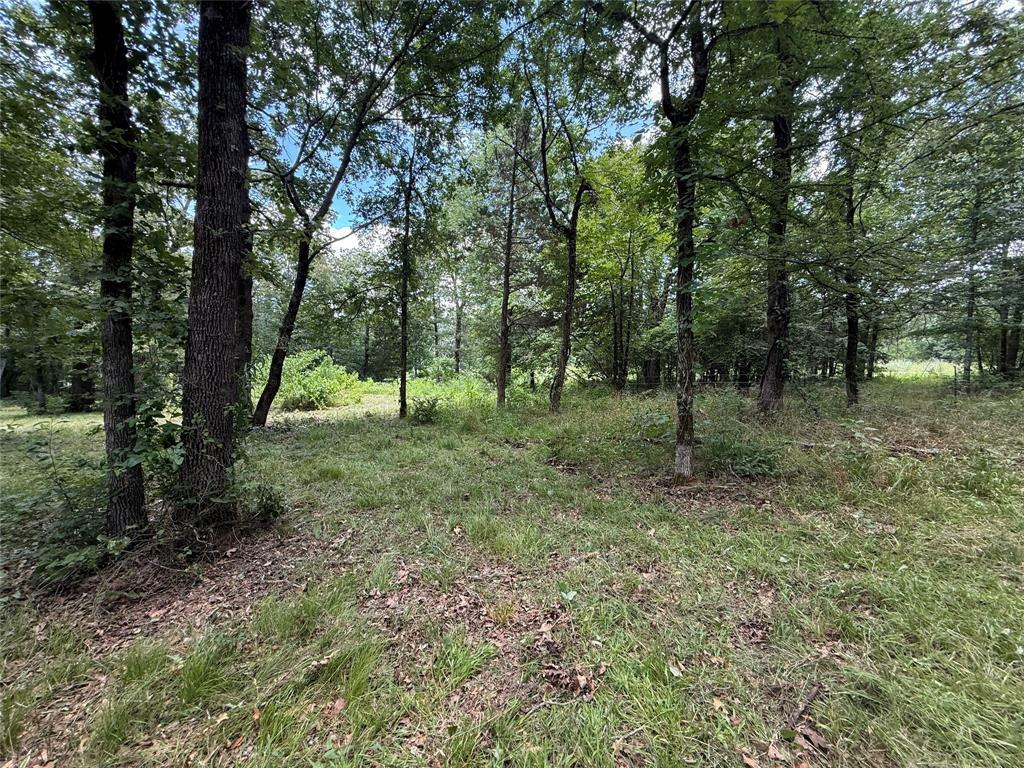 Property Photo: 0000 County Road 1130 TX 75453