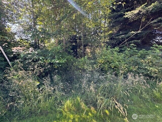 Property Photo: 43 E Sycamore Road WA 98239