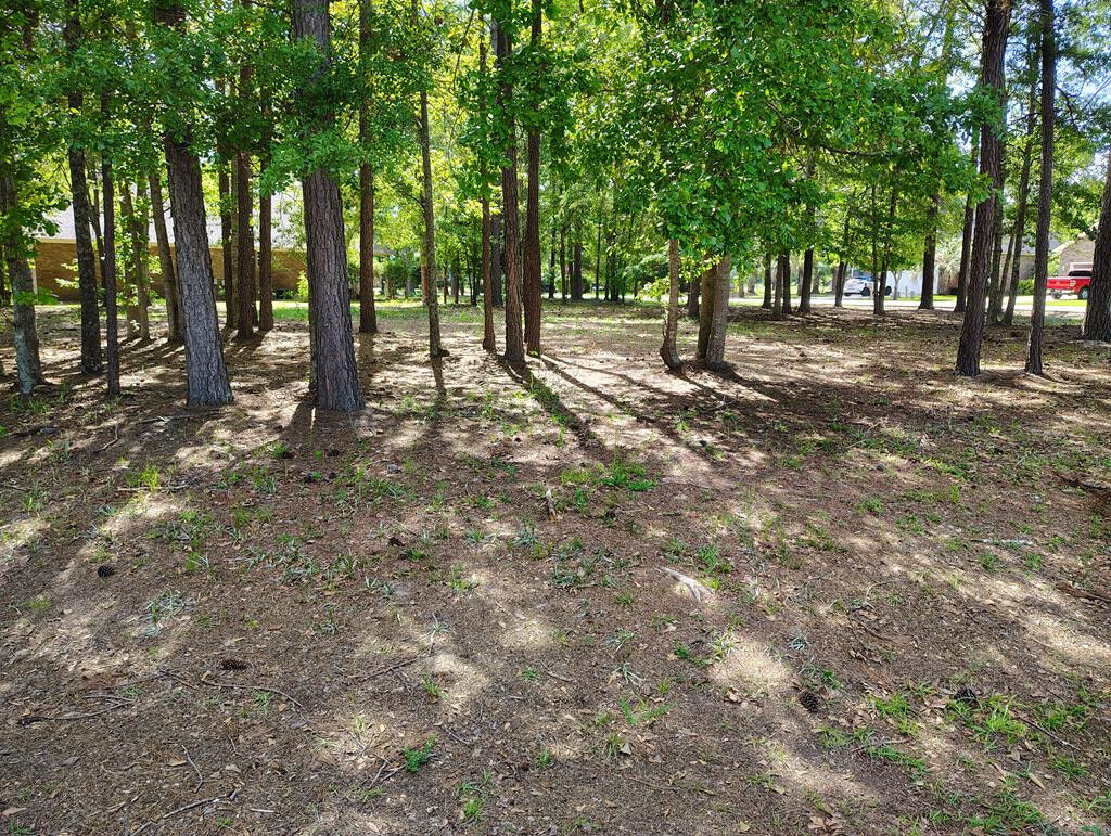 Property Photo: 823 Bentwood Circle SC 29102